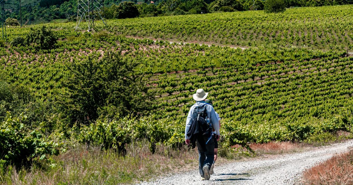 Camino de Santiago desde Ponferrada: las 9 etapas hasta Santiago