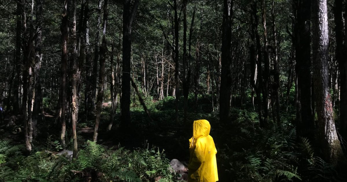 Ropa para el Camino de Santiago: cómo vestirte por capas