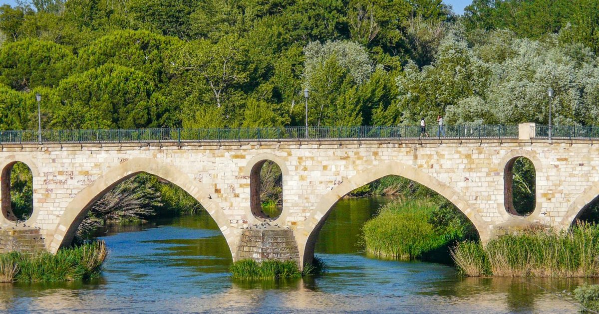 Camino de Santiago desde Tui: las 6 etapas hasta Santiago