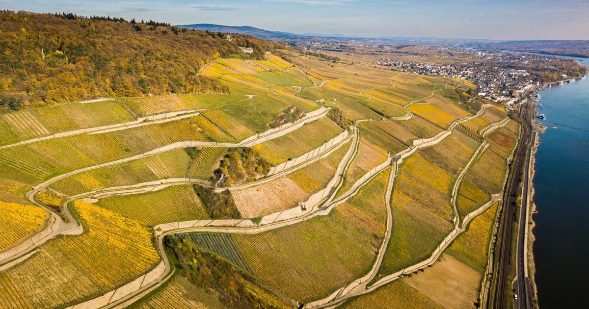 Laderas de un valle rural con campos y viñedos en terrazas, un paisaje como el que recorre el Camino de Invierno
