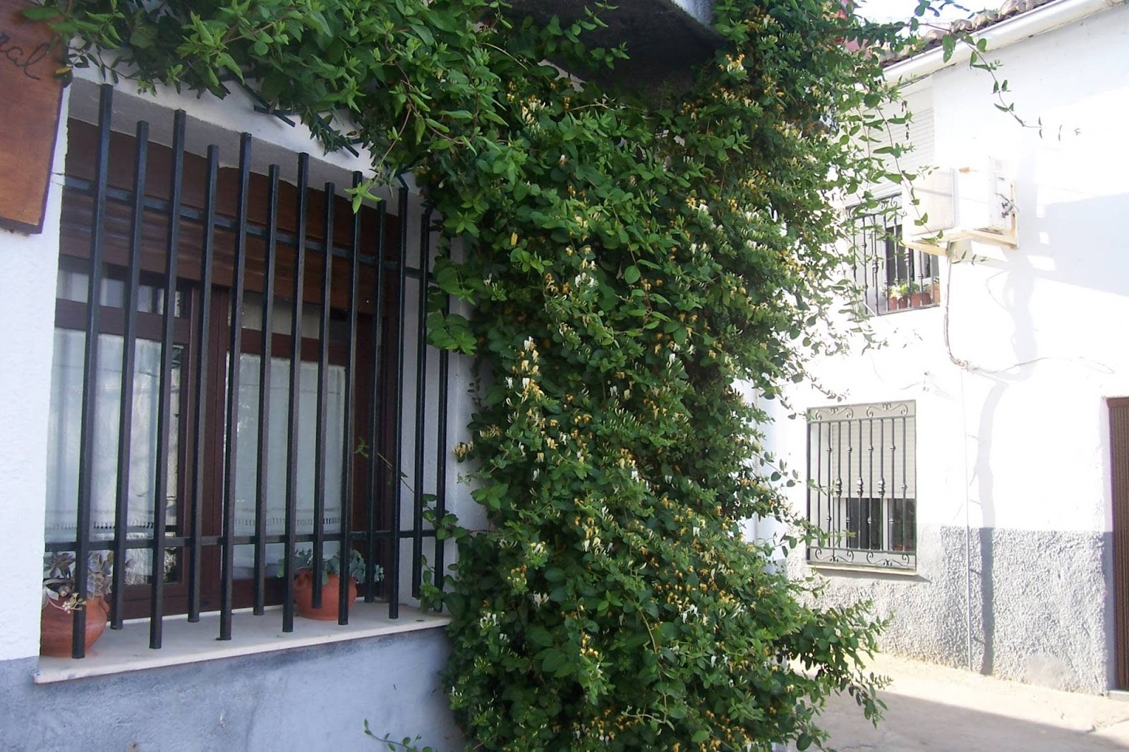 Casa Rural Abuela Maxi